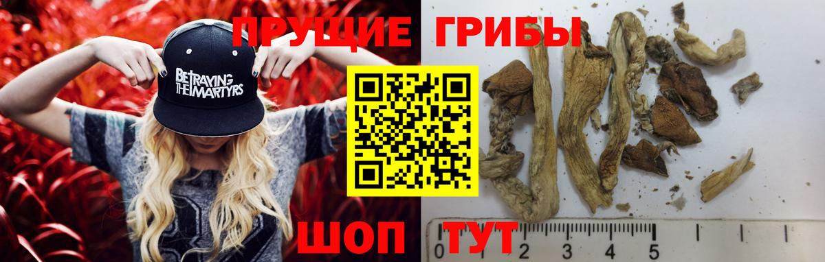 Псилоцибиновые грибы Psilocybine cubensis  Вход с VPN  Дедовск 