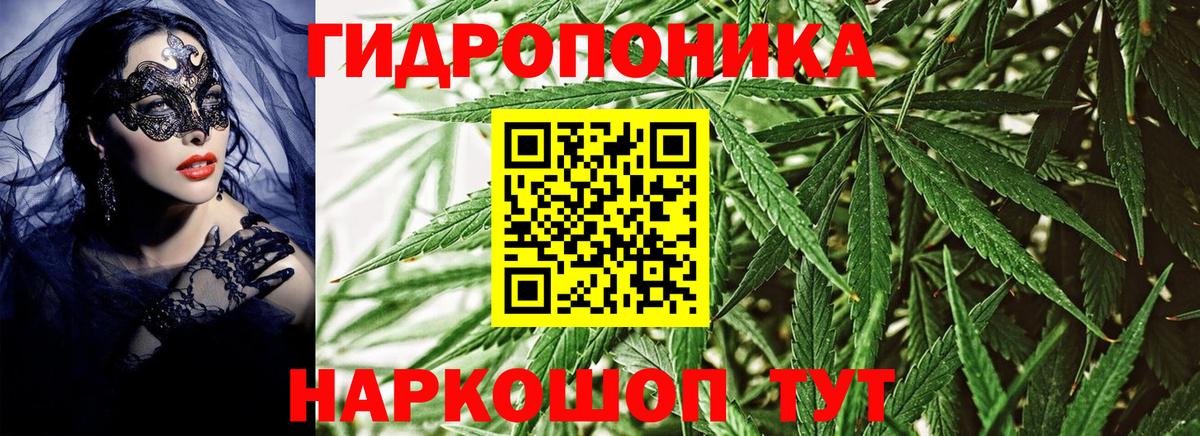 Конопля конопля  МАРИХУАНА план  Дедовск  Шишки марихуана ГИДРОПОН  Бошки Шишки SATIVA & INDICA  Вход с VPN 